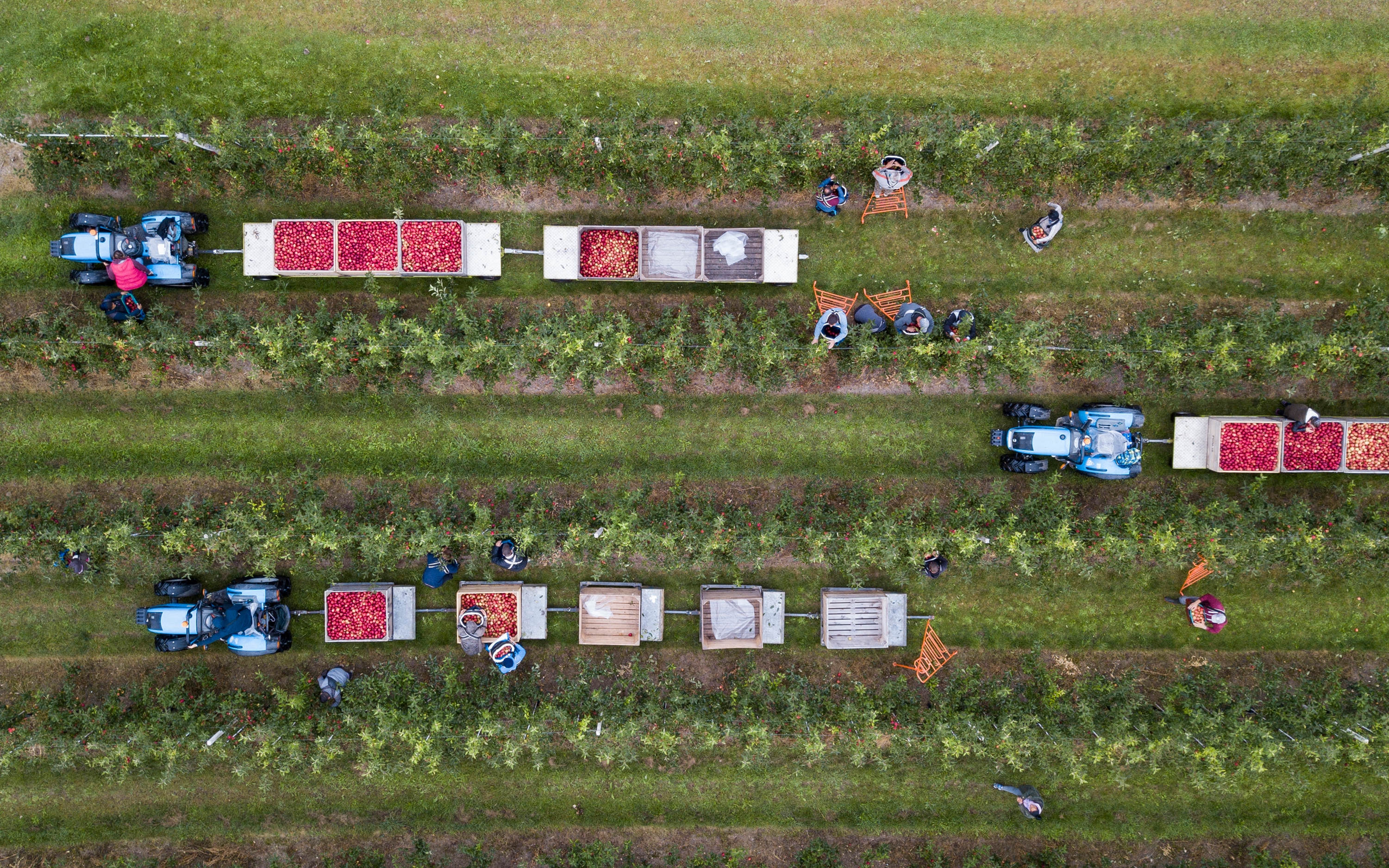 An aerial via of tractors in a field during a harvest